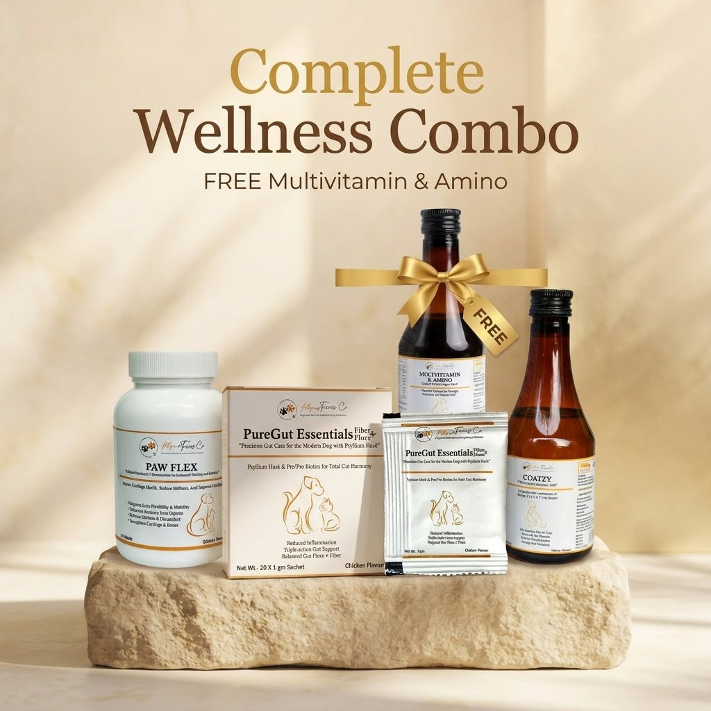 Gut & Mobility Care Combo - Complete Wellness Bundle for Dogs