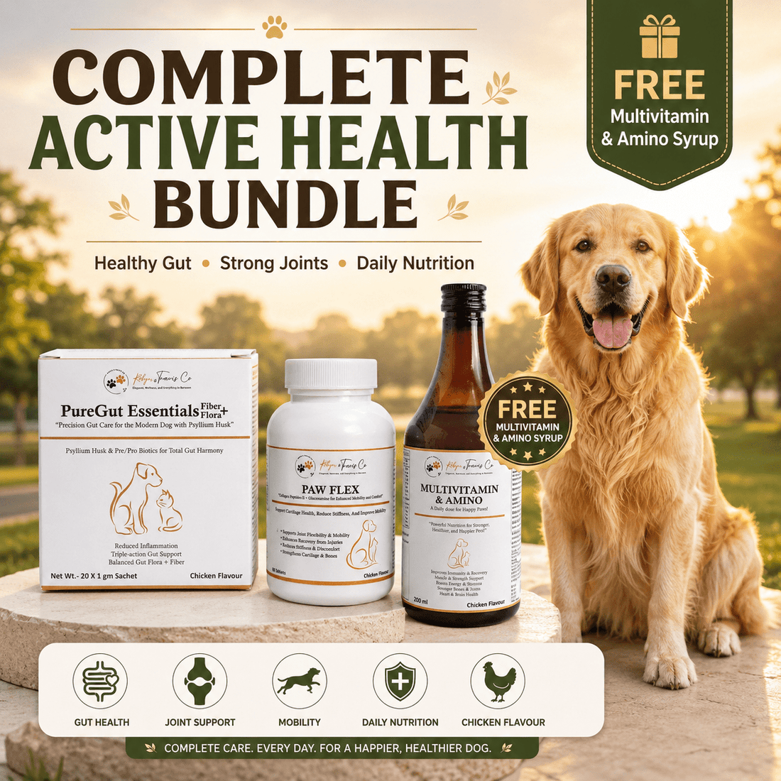 8 Essential Pet Health Tips Every Indian Pet Parent Should Know - Robyn & Travis Co