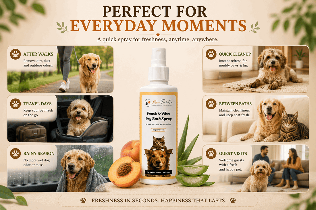Dry Dog Shampoo: 8 Best Waterless Picks in India - Robyn & Travis Co