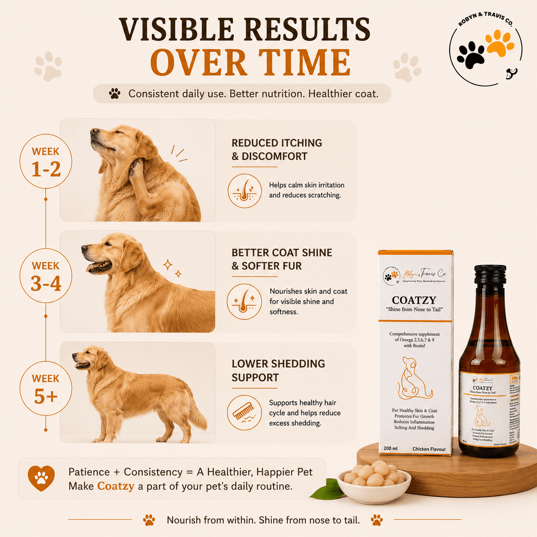 Monsoon Pet Care in India: Skin, Coat & Tummy Troubles to Watch For - Robyn & Travis Co