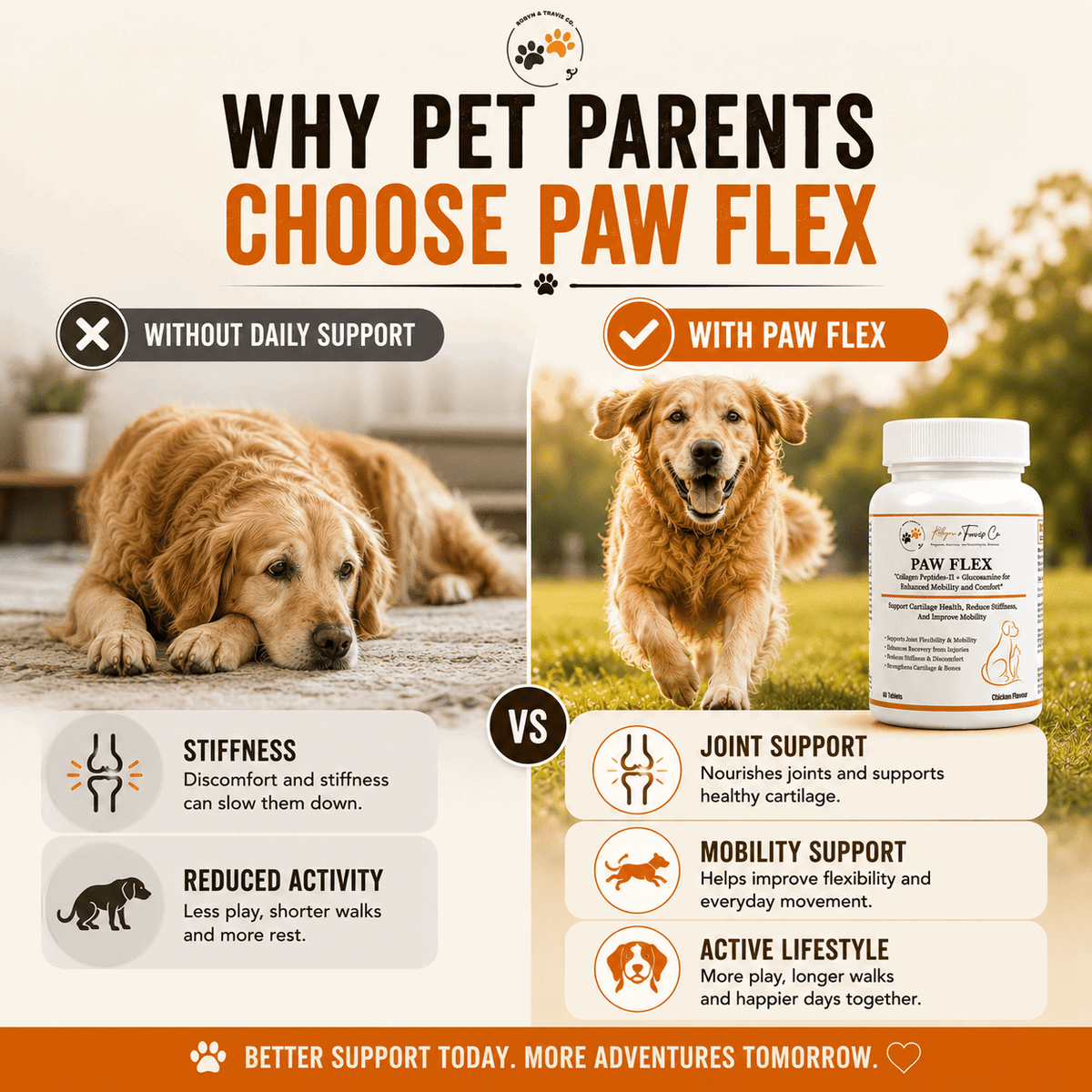 6 Best Joint Supplements for Dogs to Boost Mobility - Robyn & Travis Co