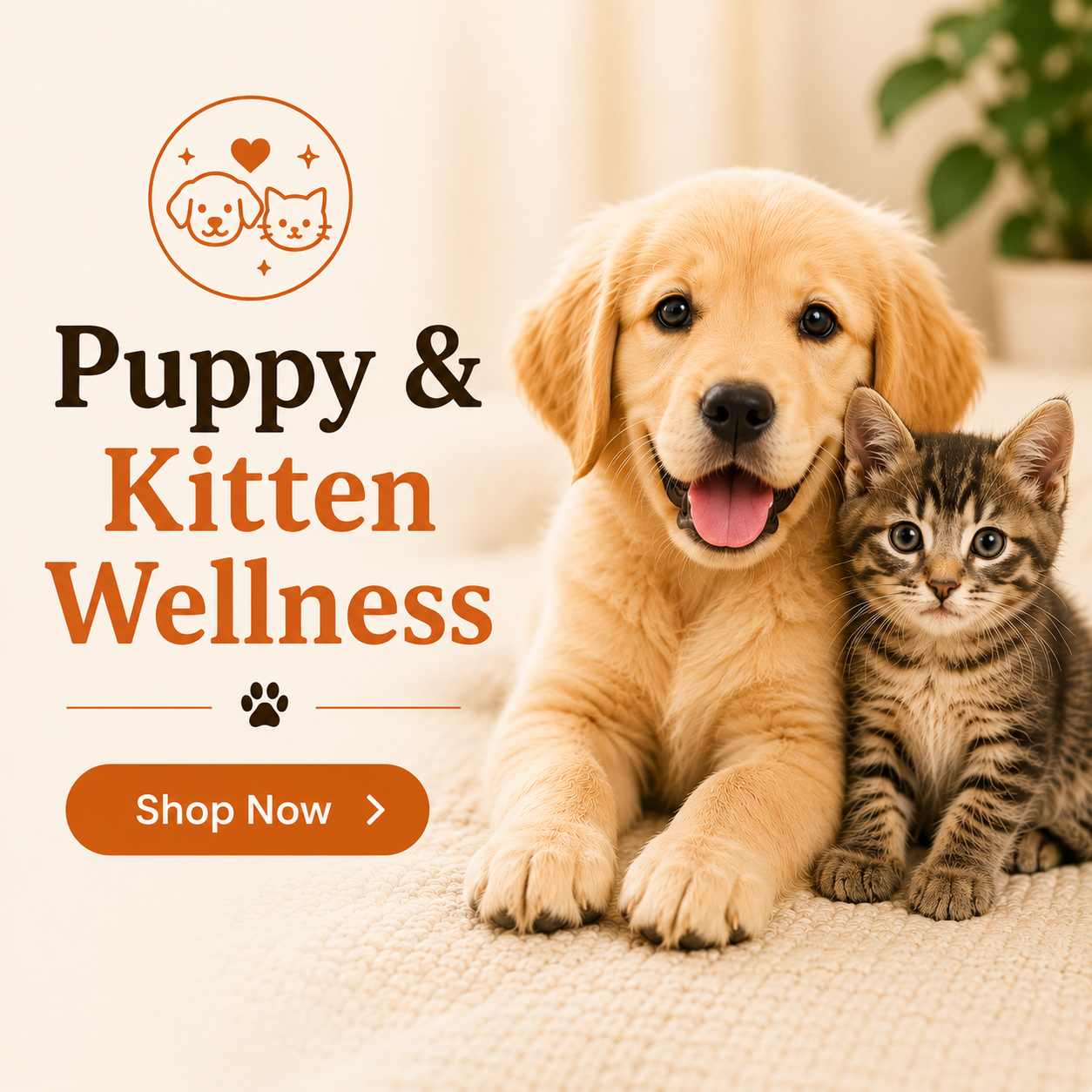 Puppy & Kitten Wellness