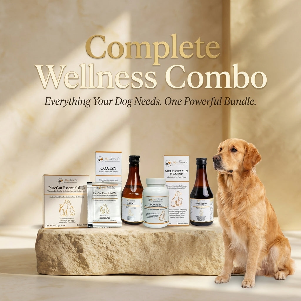 Gut & Mobility Care Combo - Complete Wellness Bundle for Dogs
