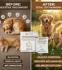 Pure Gut Essentials daily dose scoop measurement for dogs cats