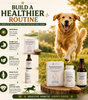 The Prime Pet Stack | Gut Health • Joint Support • Daily Nutrition