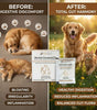Pure Gut Essentials pet digestive supplement pack India