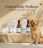 Gut & Mobility Care Combo - Complete Wellness Bundle for Dogs
