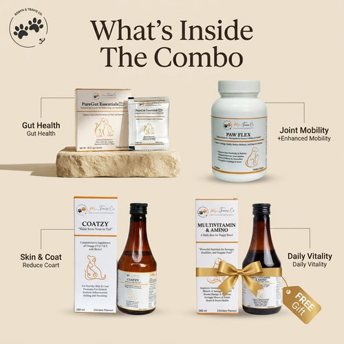 Gut & Mobility Care Combo - Complete Wellness Bundle for Dogs