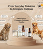 Gut & Mobility Care Combo - Complete Wellness Bundle for Dogs