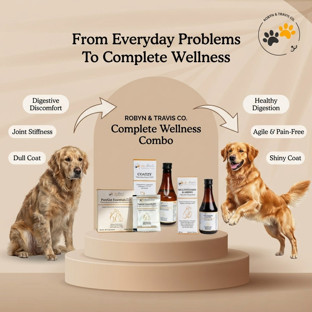 Gut & Mobility Care Combo - Complete Wellness Bundle for Dogs