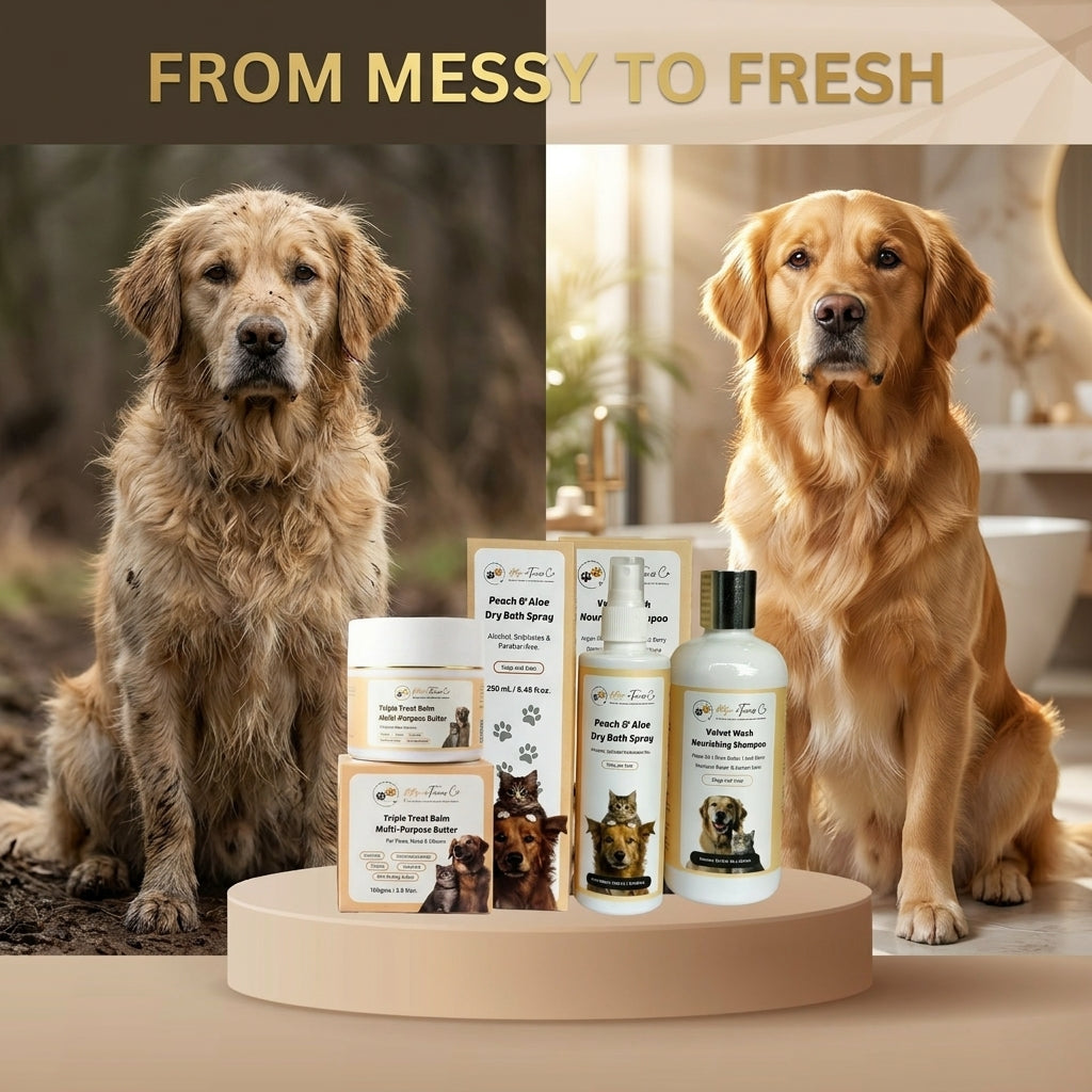 Complete Grooming Bundle — Everyday Grooming Care For Dogs & Cats