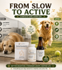 The Prime Pet Stack | Gut Health • Joint Support • Daily Nutrition