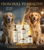 Complete Skin & Coat Wellness Bundle - FREE Multivitamin & Amino Syrup Included