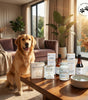 Gut & Mobility Care Combo - Complete Wellness Bundle for Dogs