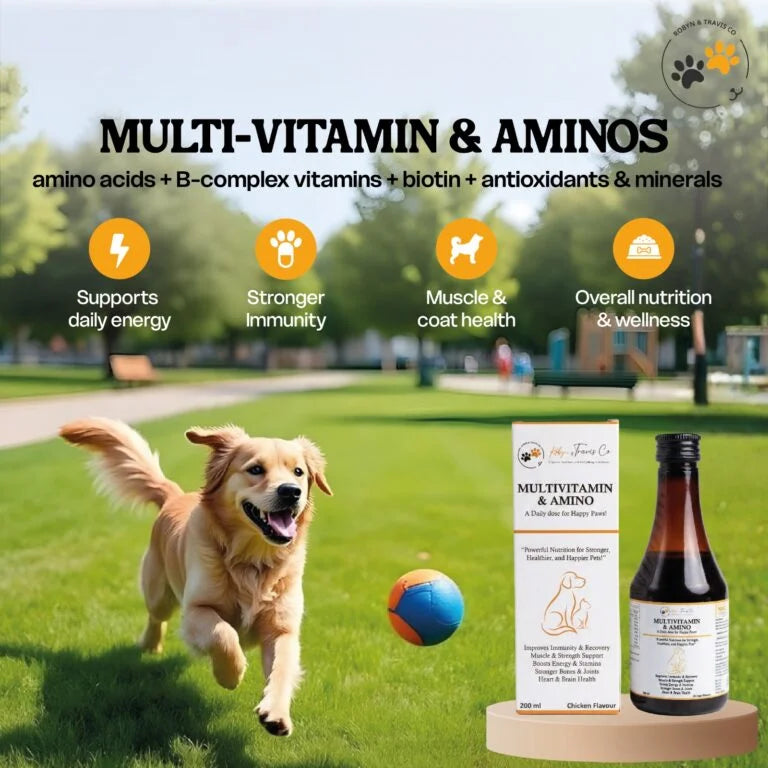 Multi-Vitamin & Aminos - Dogs & Cats
