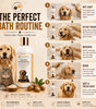 Velvet Wash — Argan, Shea & Açai Dog & Cat Shampoo (Sulphate & Paraben Free) - Robyn & Travis Co