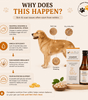 Coatzy – Omega Blend - Robyn & Travis Co