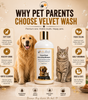 Argan oil cat shampoo nourishing coat India