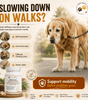 Paw Flex - Joint supplement with Collagen - Robyn & Travis Co