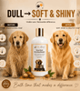 Velvet Wash — Argan, Shea & Açai Dog & Cat Shampoo (Sulphate & Paraben Free) - Robyn & Travis Co