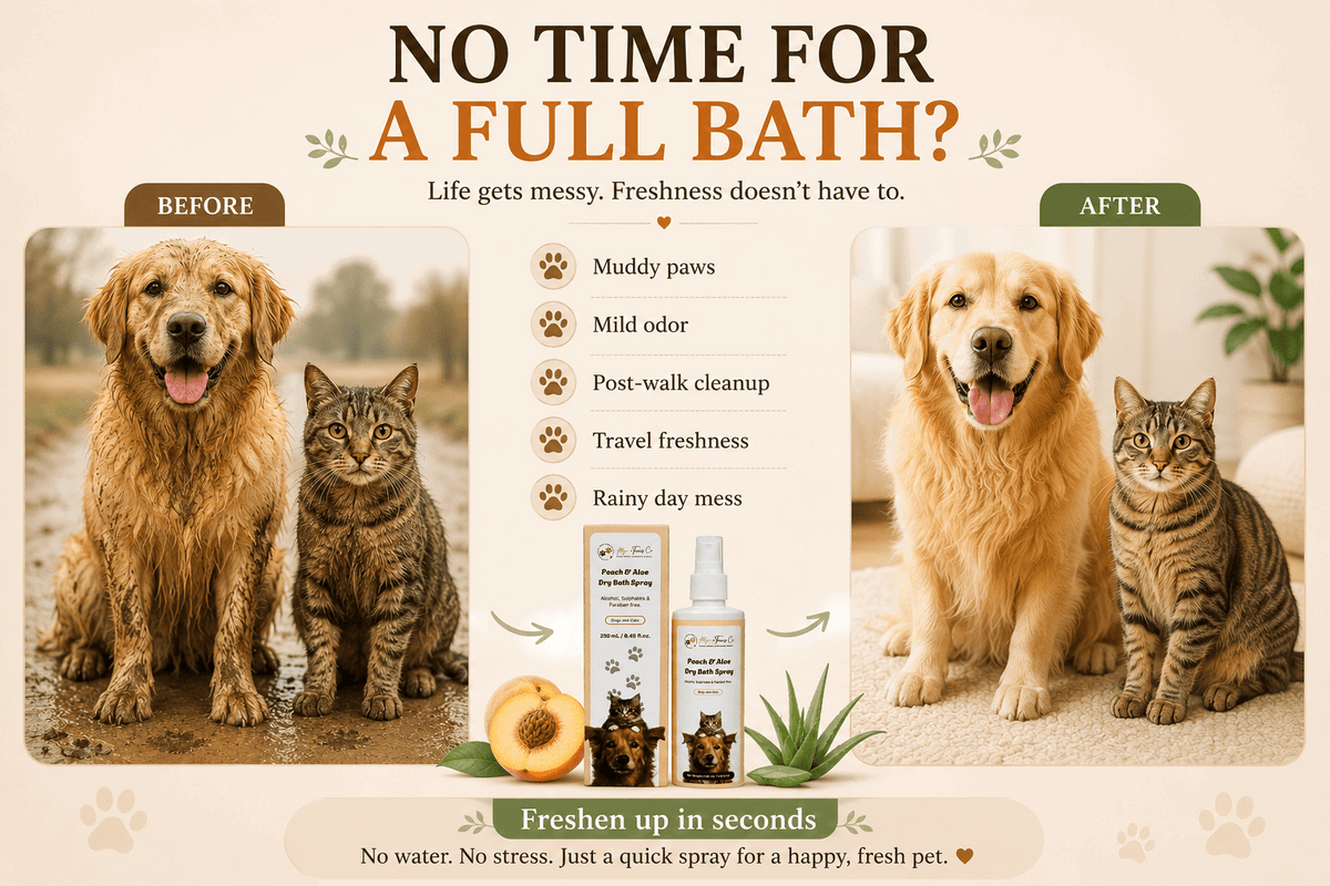 Peach & Aloe Dry Bath Spray — Waterless No-Rinse Dog & Cat Wash