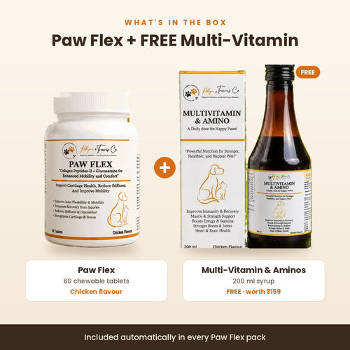 What's in the box: Paw Flex, 60 chewable tablets, plus a free Multi-Vitamin & Aminos 200 ml syrup