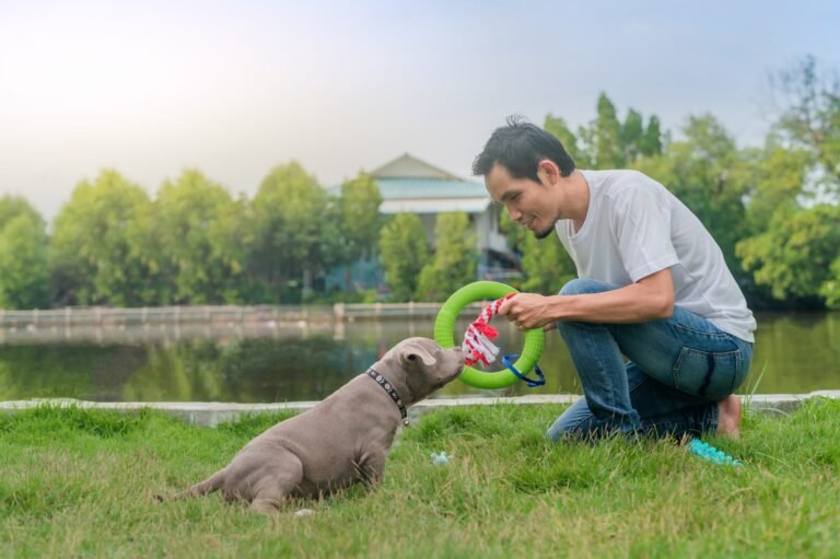 pet owners 2